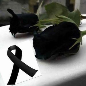 Meet your Posher, Beatriz